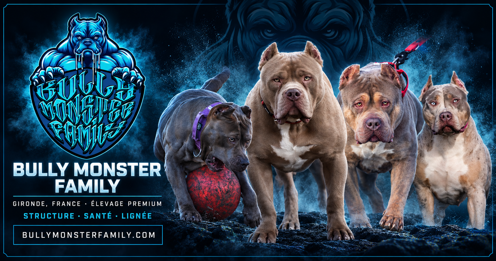 Bully Monster Family — Gironde, France