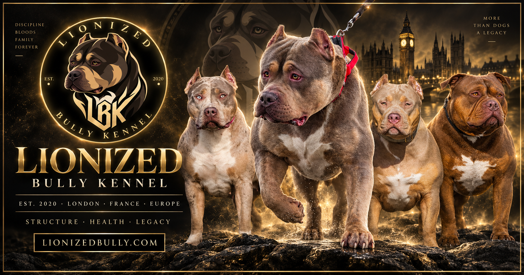 Lionized Bully Kennel — partenaire officiel