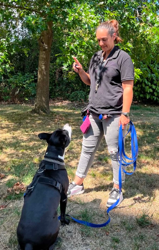 Éducatrice comportementaliste canine partenaire de Bully Monster Family, Bordeaux