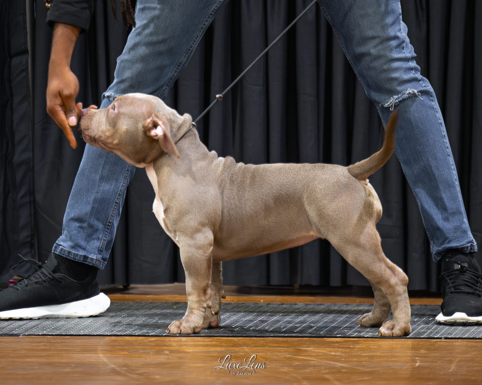 Bully Monster Family production